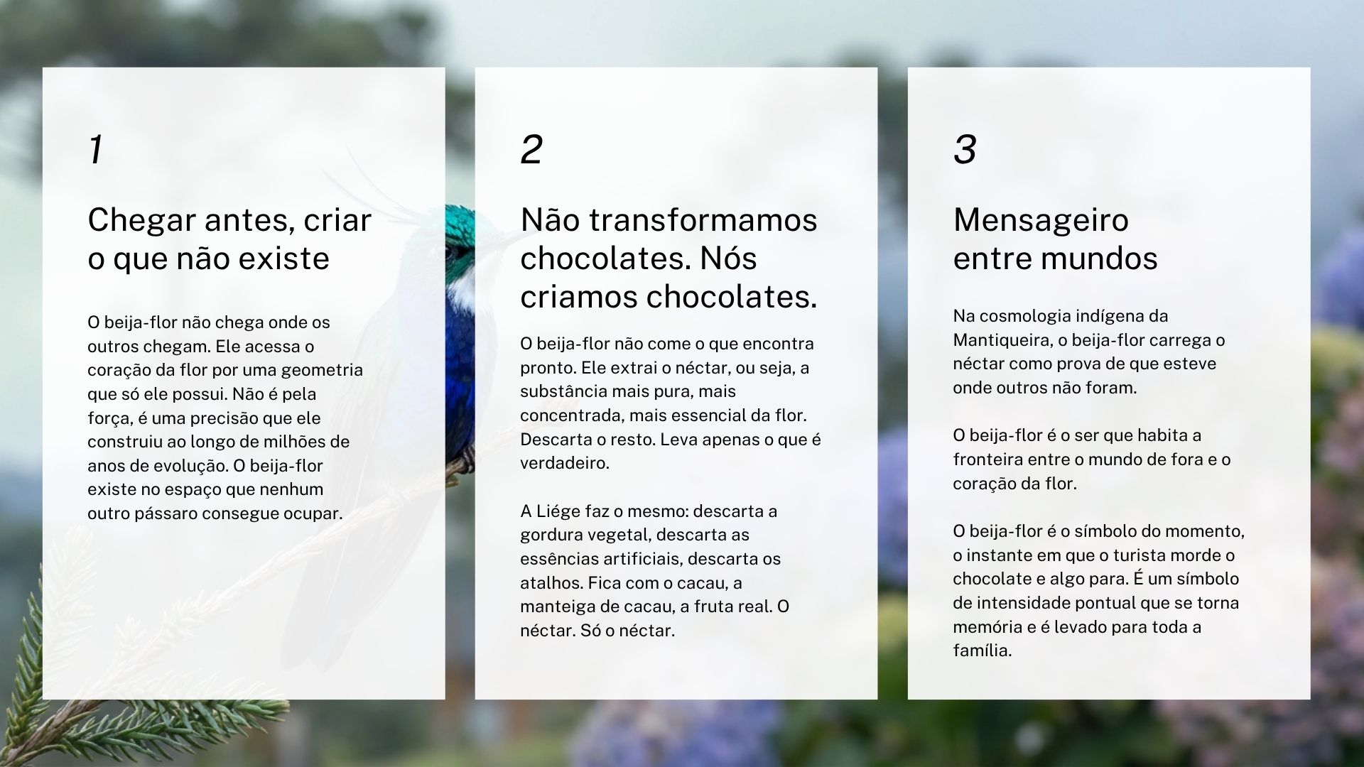 Liége — slide 5: Explorador