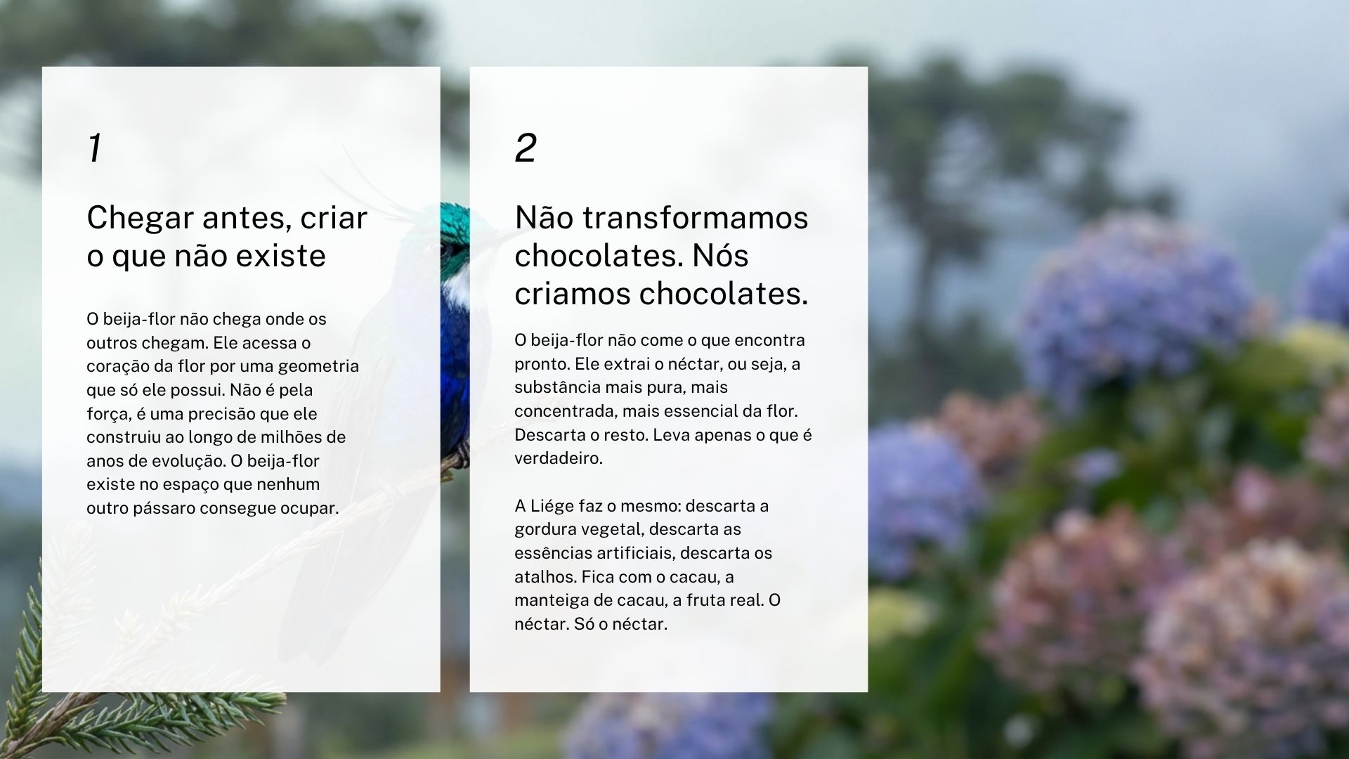Liége — slide 4: Amante